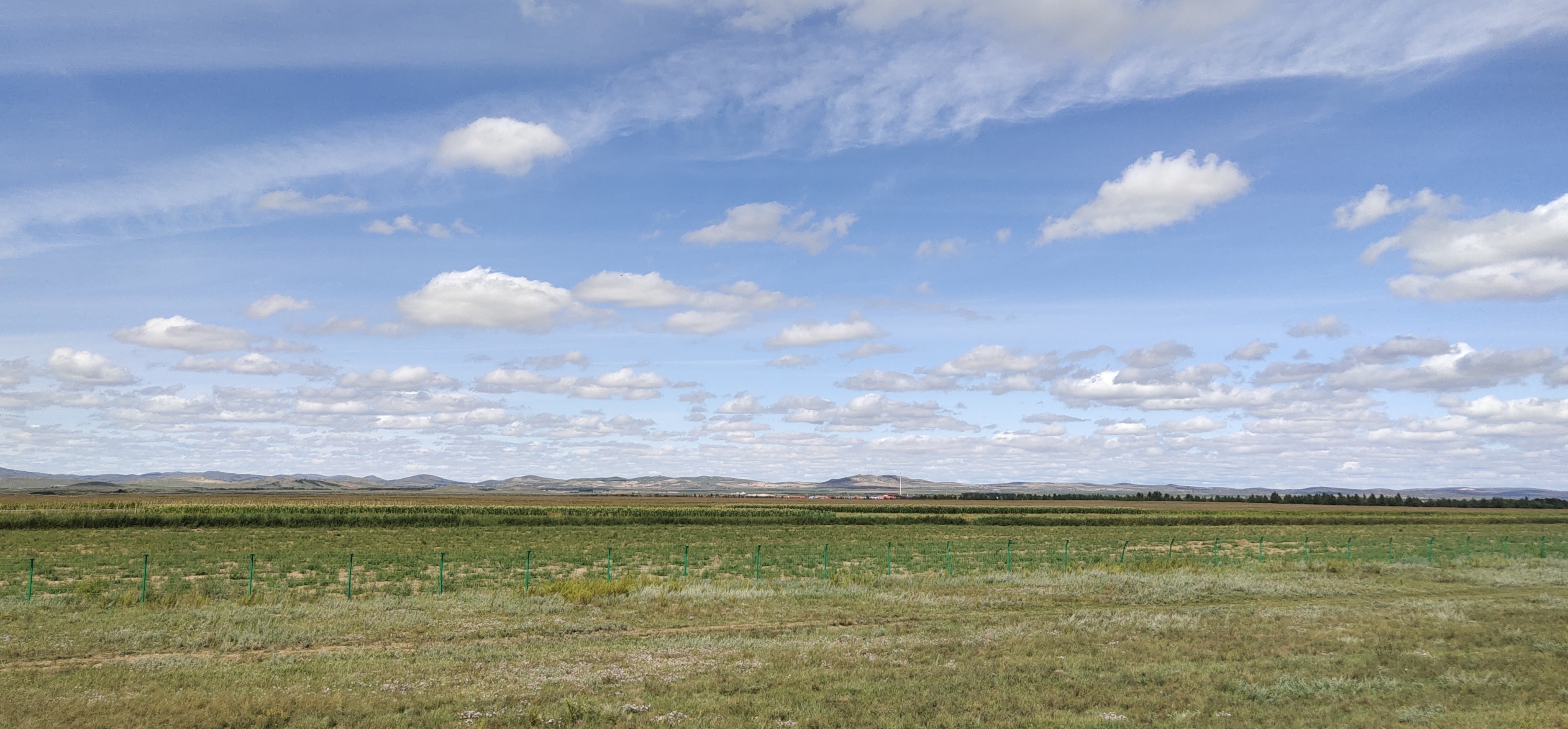 国产亚洲一区二区在线观看